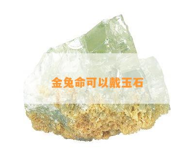 金兔命可以戴玉石