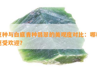 豆种与白底青种翡翠的美观度对比：哪种更受欢迎？