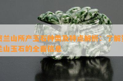 贺兰山所产玉石种类及特点解析：了解贺兰山玉石的全面信息