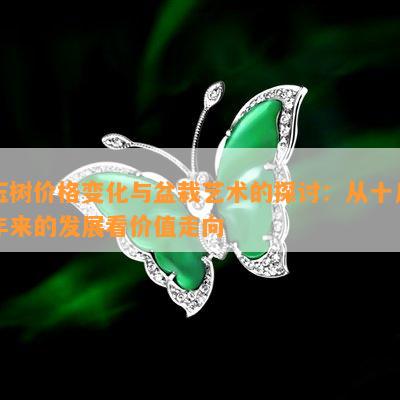 玉树价格变化与盆栽艺术的探讨：从十几年来的发展看价值走向