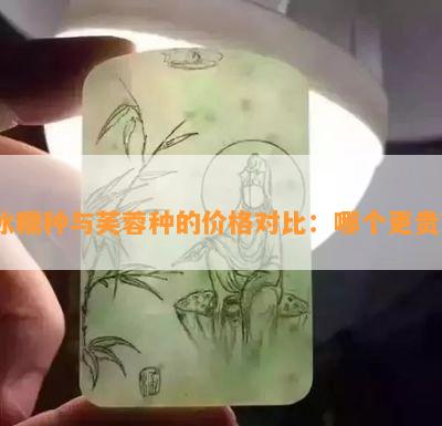 冰糯种与芙蓉种的价格对比：哪个更贵？