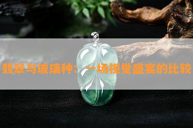 翡翠与玻璃种：一场视觉盛宴的比较