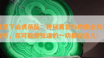 翡翠下山虎吊坠：神秘寓意与作用全方位解析，你可能想知道的一切都在这儿！