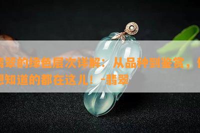 翡翠的绿色层次详解：从品种到鉴赏，你想知道的都在这儿！-翡翠