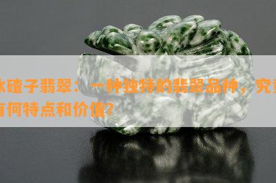 冰碴子翡翠：一种独特的翡翠品种，究竟有何特点和价值？