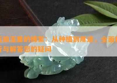 蓝田玉里的棉絮：从种植到用途，全面解析与解答您的疑问