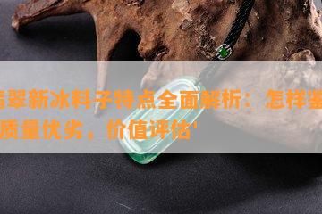 '翡翠新冰料子特点全面解析：怎样鉴别，质量优劣，价值评估'