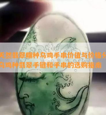 纯天然翡翠糯种乌鸡手串价值与价格分析：乌鸡种翡翠手链和手串的选购指南