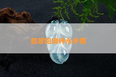 翡翠阳绿种水手镯