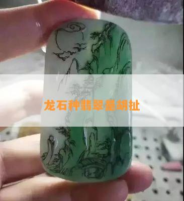 龙石种翡翠是胡扯