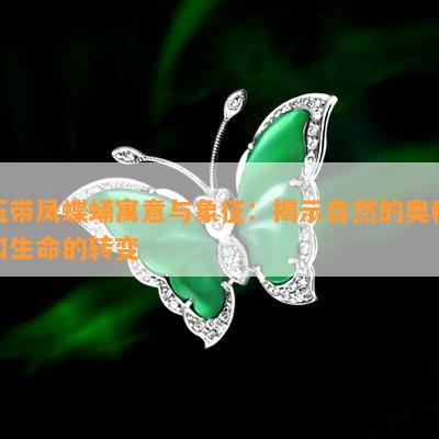 玉带凤蝶蛹寓意与象征：揭示自然的奥秘和生命的转变