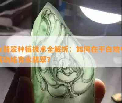 水翡翠种植技术全解析：如何在干白地中成功培育水翡翠？