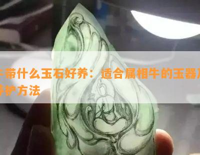 牛带什么玉石好养：适合属相牛的玉器及养护方法