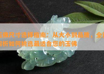 玉佛尺寸选择指南：从大小到品质，全面解析如何挑选最适合您的玉佛