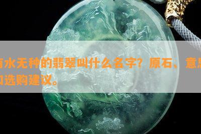 有水无种的翡翠叫什么名字？原石、意思和选购建议。