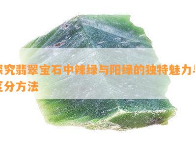 探究翡翠宝石中辣绿与阳绿的独特魅力与区分方法