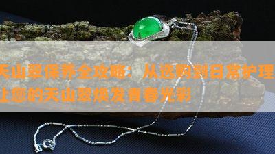 天山翠保养全攻略：从选购到日常护理，让您的天山翠焕发青春光彩