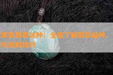 皇家紫翡翠冰种：全面了解翡翠品种、品质与选购技巧