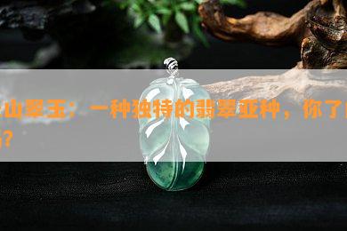 天山翠玉：一种独特的翡翠亚种，你了解吗？