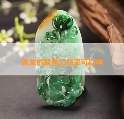 属龙的戴佛公翡翠可以吗