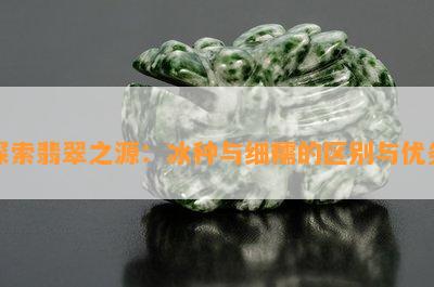 探索翡翠之源：冰种与细糯的区别与优劣