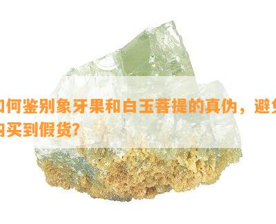 如何鉴别象牙果和白玉菩提的真伪，避免购买到假货？