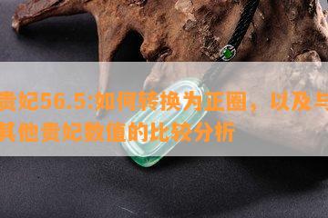 贵妃56.5:如何转换为正圈，以及与其他贵妃数值的比较分析