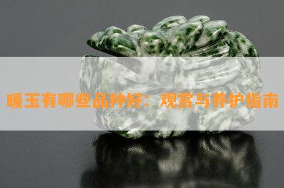 暖玉有哪些品种好：观赏与养护指南