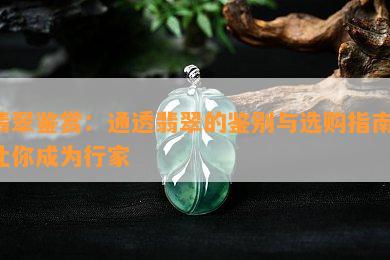 翡翠鉴赏：通透翡翠的鉴别与选购指南，让你成为行家