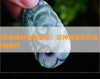 翡翠玻璃种价格鉴定：这种翡翠的价值与贵贱解析