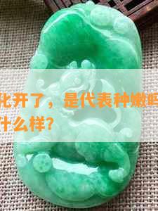 翡翠棉都化开了，是代表种嫩吗？翡翠的棉化开是什么样？