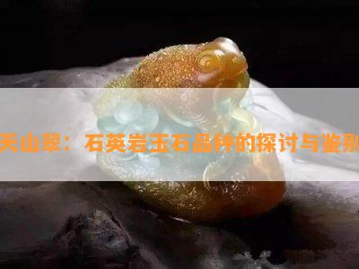 天山翠：石英岩玉石品种的探讨与鉴别