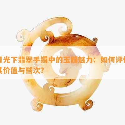 月光下翡翠手镯中的玉髓魅力：如何评估其价值与档次？