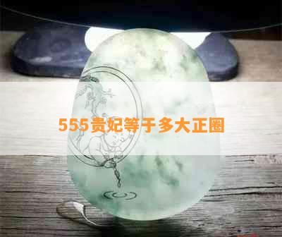 555贵妃等于多大正圈