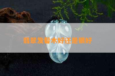 翡翠发髻木好还是银好