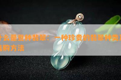 什么是豆种翡翠：一种珍贵的翡翠种类及选购方法