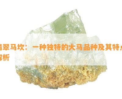 翡翠马坎：一种独特的大马品种及其特点解析