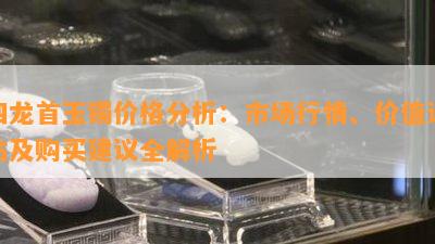 四龙首玉镯价格分析：市场行情、价值评估及购买建议全解析