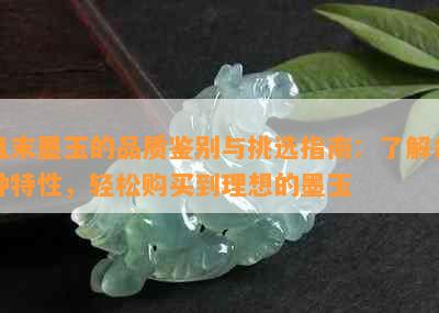 且末墨玉的品质鉴别与挑选指南：了解各种特性，轻松购买到理想的墨玉