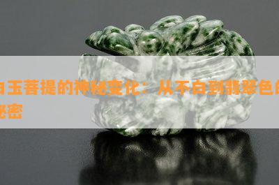 白玉菩提的神秘变化：从不白到翡翠色的秘密