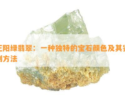 正阳绿翡翠：一种独特的宝石颜色及其鉴别方法