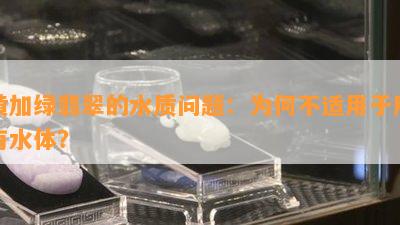 黄加绿翡翠的水质问题：为何不适用于所有水体？