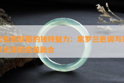 紫色翡翠茄的独特魅力：紫罗兰色调与翡翠光泽的完美融合