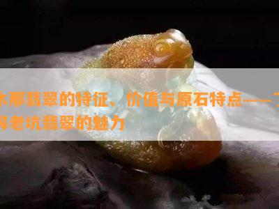 木那翡翠的特征、价值与原石特点——了解老坑翡翠的魅力