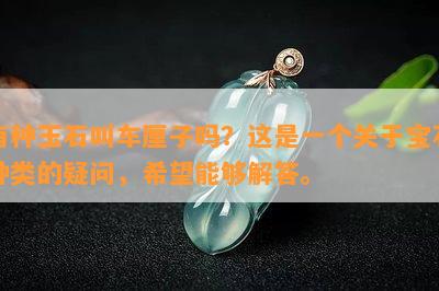 有种玉石叫车厘子吗？这是一个关于宝石种类的疑问，希望能够解答。