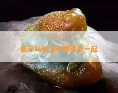 紫牙乌和玉手镯可以一起