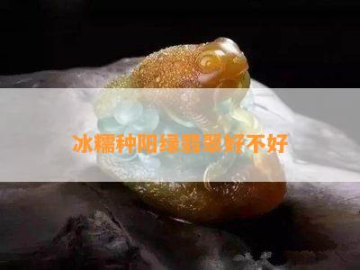 冰糯种阳绿翡翠好不好