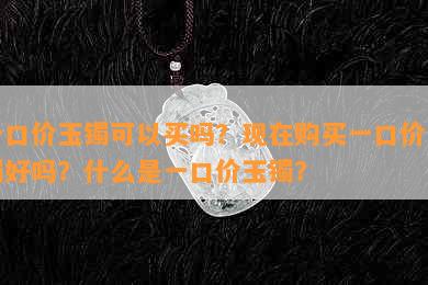 一口价玉镯可以买吗？现在购买一口价玉镯好吗？什么是一口价玉镯？