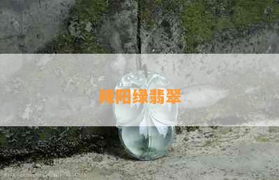 辣阳绿翡翠