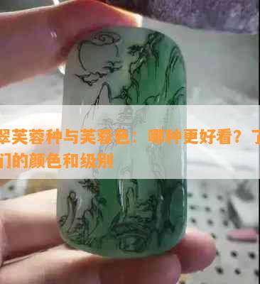 翡翠芙蓉种与芙蓉色：哪种更好看？了解它们的颜色和级别